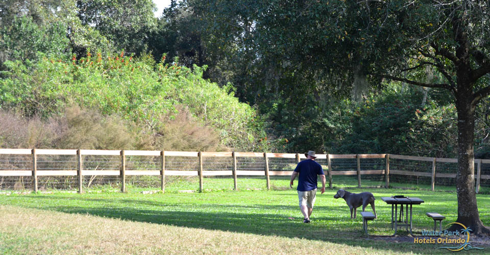 Man with dog at the Waggin Trails Dog Park Disney Fort Wilderness Campground 960