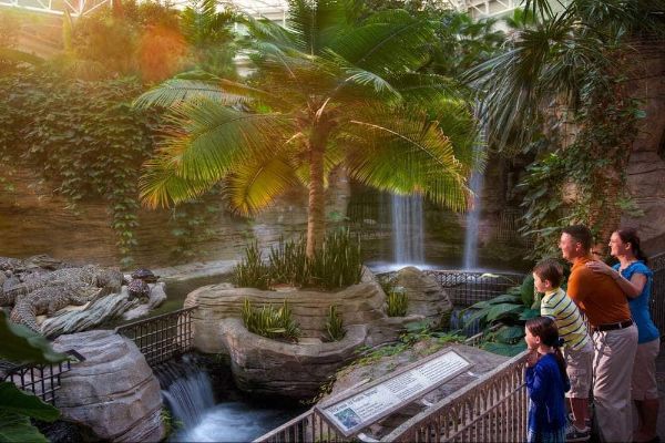 Gaylord Palms Orlando Atrium with Waterfall
