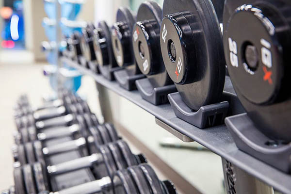 Free weights at the Loews Sapphire Falls Resort 600