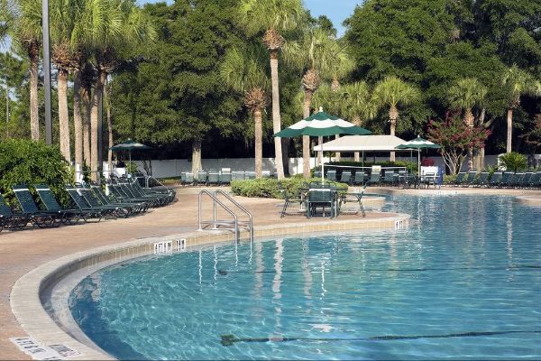 Super Pool at the Sheraton Vistana Resort Villas 600
