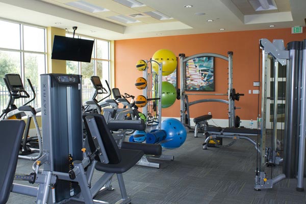 View of the Treadmills, Eliptical, Free Weights and Balls in the Fitness Center at Summer Bay Resort Orlando 600