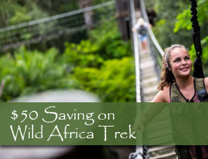 Walking across a rope bridge during the Wild Africa Trek at Animal Kingdom in Orlando Fl
