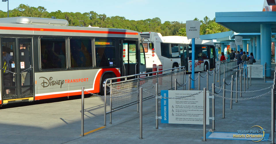 where to catch bus from magic kingdom to disney springs