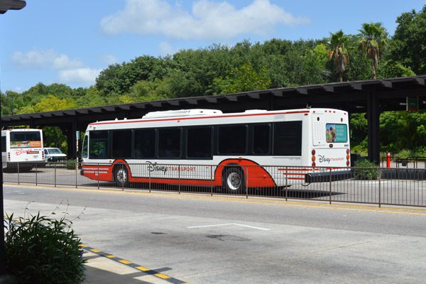 View of Disney Bus Tranporation from Disney World in Orlando Fl 600