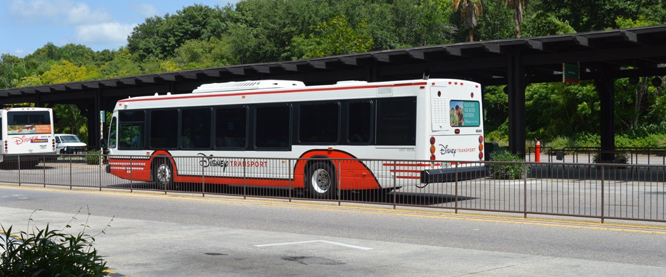 View of Disney Bus Tranporation from Disney World in Orlando Fl 960