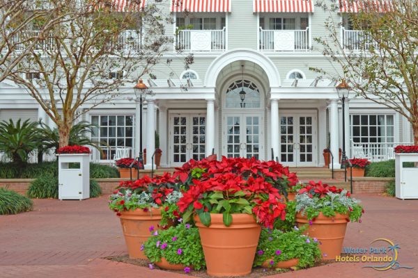 Grouping of Poinsettia's in the courtyard at the Disney Yacht Club Resort 1000