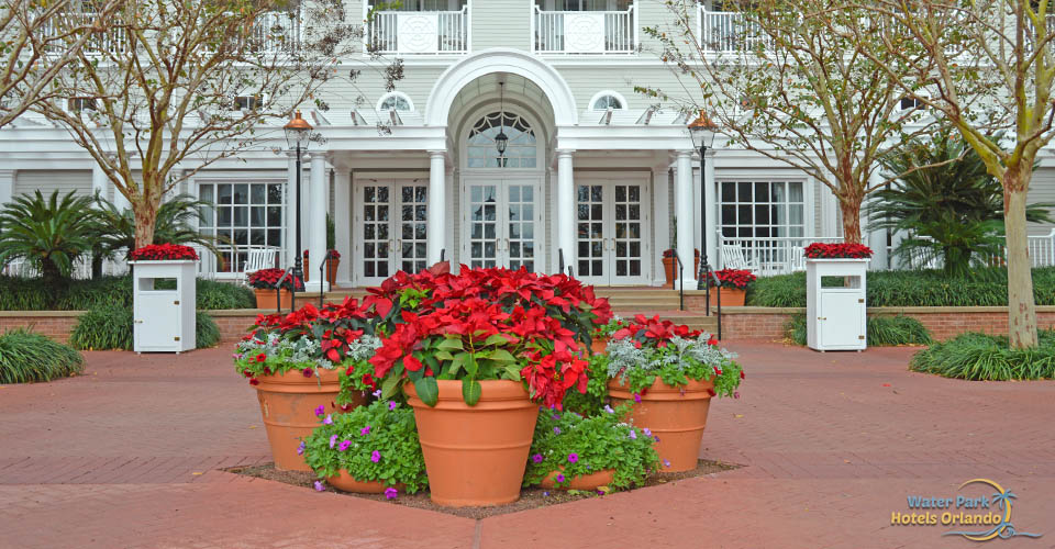 Grouping of Poinsettia's in the courtyard at the Disney Yacht Club Resort 960
