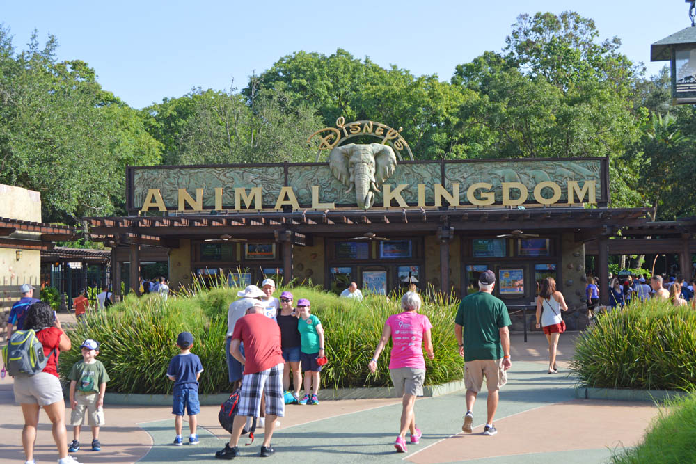 Hotels Near Animal Kingdom Orlando Water Park Hotels Orlando