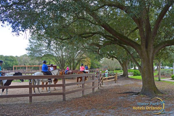 Horseback Riding out of the Corral at the Tri-Circle-D Ranch at Disney Fort Wilderness Campground 600