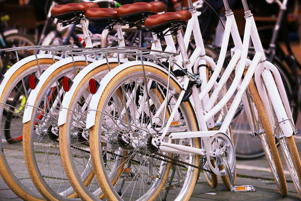 Group of white bikes for rent 600
