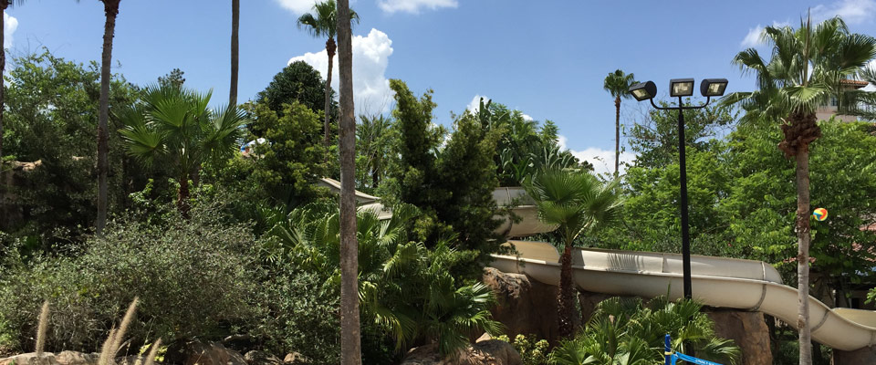 View of the 260-foot water slide twisting its way through the Tropical Trees at the Hard Rock Hotel in Universal Orlando