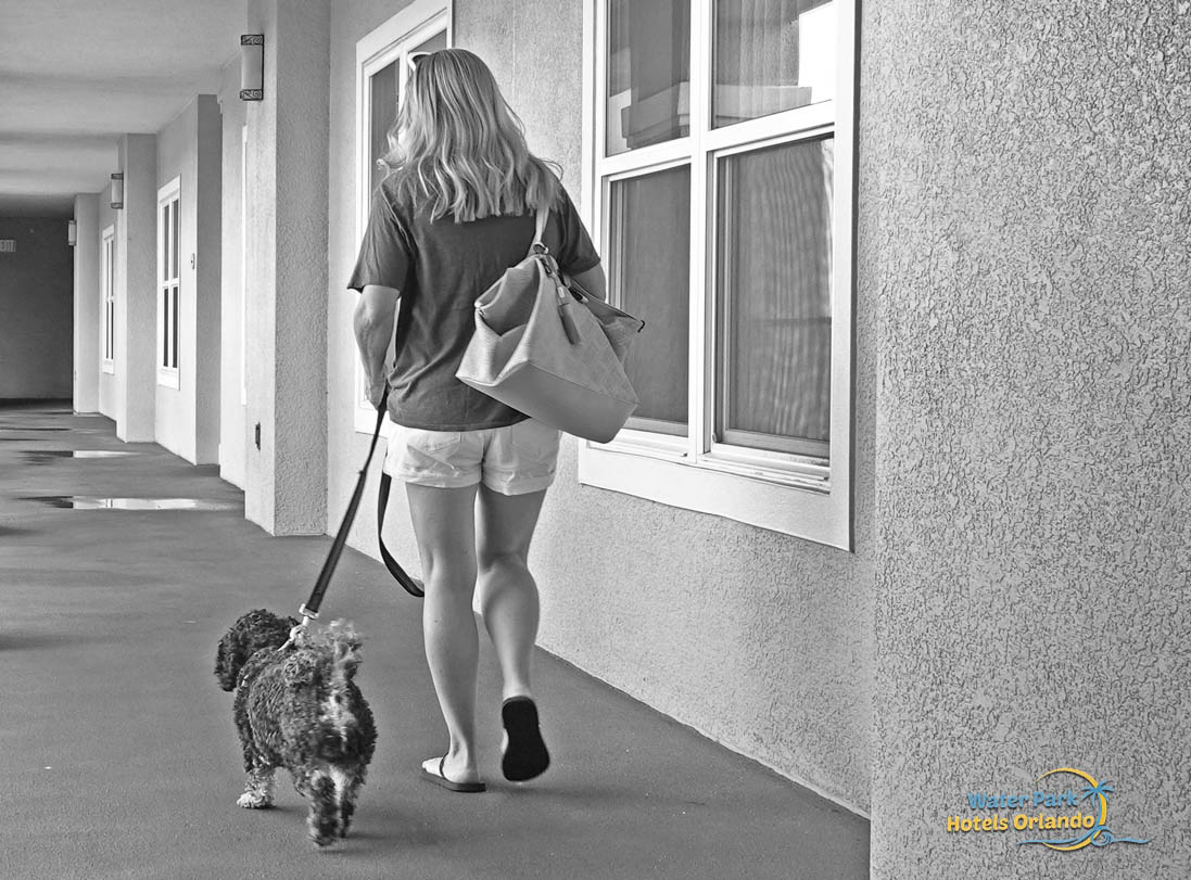 a pet owner at westgate lakes resort and spa in Kissimmee, Florida walking a dog in the hallway of building 60 on the third floor