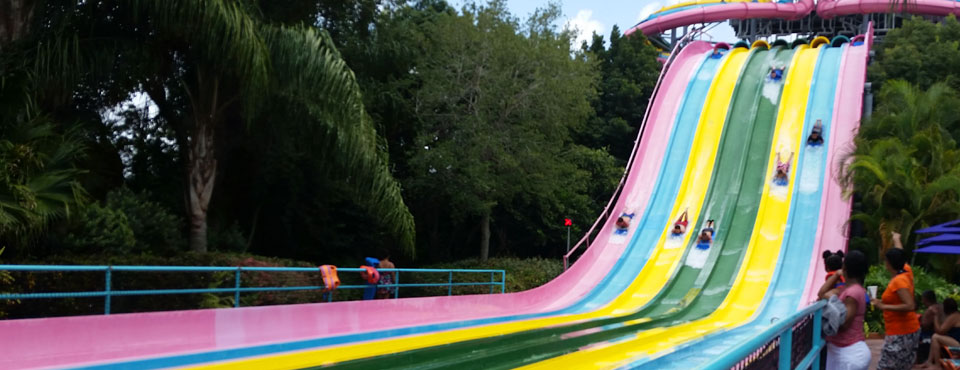 Watching the 6 lane Racing Slide at Aquatica from the Bottom Orlando wide