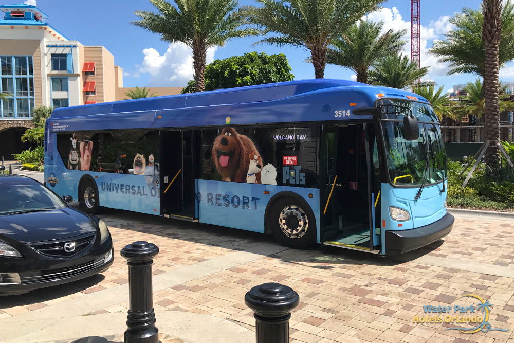 Universal's Bus Transportation to Univeral Volcano Bay Water Park, Universal Studios, Islands of Adventure from Sapphire Falls Resort 1000