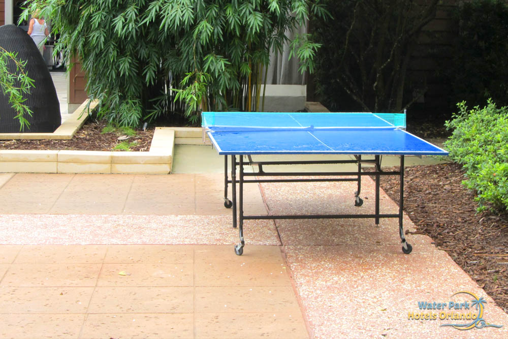 Ping Pong table at the WDW Dolphin Resort 1000